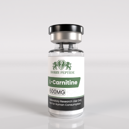 L-Carnitine – 600 mg-01 mockup L-Carnitine 600MG
